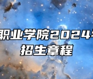 ​安徽艺术职业学院2024年分类考试招生章程