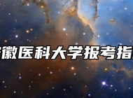 安徽医科大学报考指南