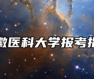 安徽医科大学报考指南