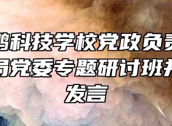 安徽兴鹏科技学校党政负责人参加市教育局党委专题研讨班并做交流发言