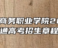 安徽绿海商务职业学院2026年普通高考招生章程