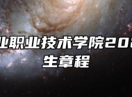 安徽矿业职业技术学院2026年招生章程