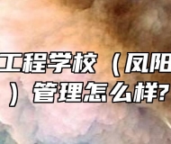 安徽机电工程学校（凤阳科技学校）管理怎么样?