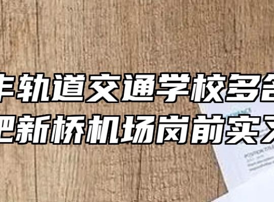 合肥长丰轨道交通学校多名学子合肥新桥机场岗前实习