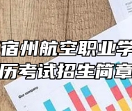 2024年宿州航空职业学院成人学历考试招生简章