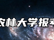 浙江农林大学报考指南