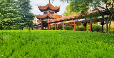 皖北卫生职业学院校园环境