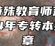 南京特殊教育师范学院2024年专转本招生简章