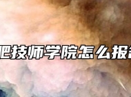 合肥技师学院怎么报名？
