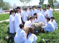 安徽利辛机电科技学校畜禽生产技术简介