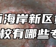 青岛西海岸新区黄海职业学校有哪些专业？