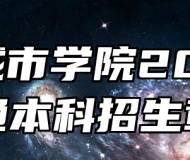 合肥城市学院2024年普通本科招生章程