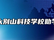 安庆大别山科技学校助学政策