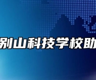 安庆大别山科技学校助学政策