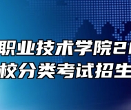 安徽工贸职业技术学院2024年高职院校分类考试招生章程