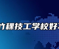 合肥竹稞技工学校好不好？