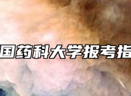 中国药科大学报考指南