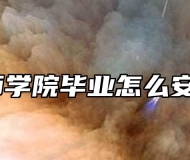 安庆技师学院毕业怎么安排就业？