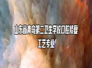 山东省青岛第二卫生学校口腔修复工艺专业