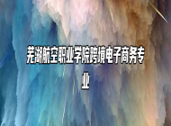 芜湖航空职业学院跨境电子商务专业