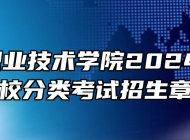 ​铜陵职业技术学院2024年高职院校分类考试招生章程