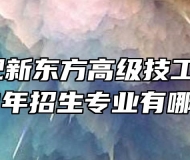 安徽合肥新东方高级技工学校2022年招生专业有哪些?