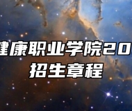 芜湖医药健康职业学院2024年高考招生章程