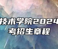 淮南职业技术学院2024年普通高考招生章程