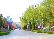 青岛恒星职业中等专业学校