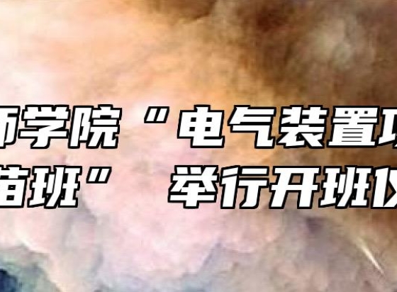 安庆技师学院“电气装置项目世赛青苗班” 举行开班仪式