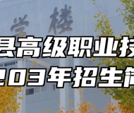 全南县高级职业技术学校203年招生简章