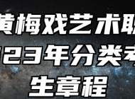 安徽黄梅戏艺术职业学院2023年分类考试招生章程