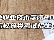 安徽矿业职业技术学院2023年高职院校分类考试招生章程