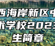 青岛西海岸新区中德应用技术学校2023年招生简章