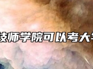 蚌埠技师学院可以考大学吗？
