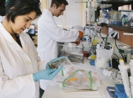 合肥八一科技学校粮油储运与检验技术专业