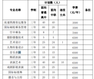 安徽艺术职业学院2023年分类考试招生计划
