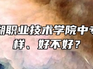 合肥滨湖职业技术学院中专部怎么样、好不好？