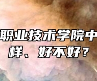 合肥滨湖职业技术学院中专部怎么样、好不好？