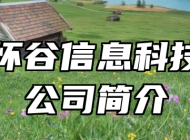 合肥怀谷信息科技有限公司简介