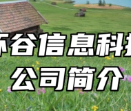 合肥怀谷信息科技有限公司简介