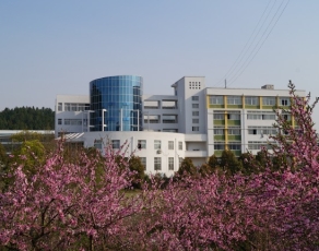 桐城师范高等专科学校校园环境