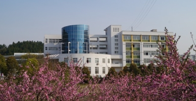 桐城师范高等专科学校校园环境