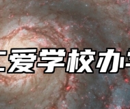 青岛仁爱学校办学理念