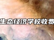 池州生态经济学校收费情况