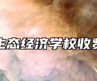 池州生态经济学校收费情况