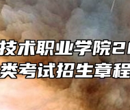 蚌埠经济技术职业学院2024年分类考试招生章程