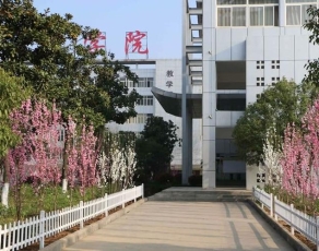 皖西卫生职业学院校园环境
