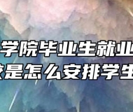 芜湖技师学院毕业生就业情况怎么样，学校是怎么安排学生就业的？