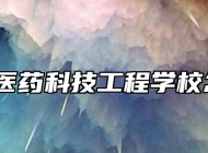 阜阳市医药科技工程学校怎么样？